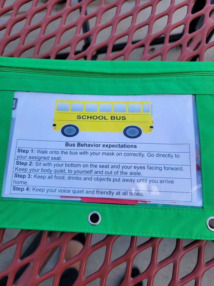 School bus dragon behavior codes